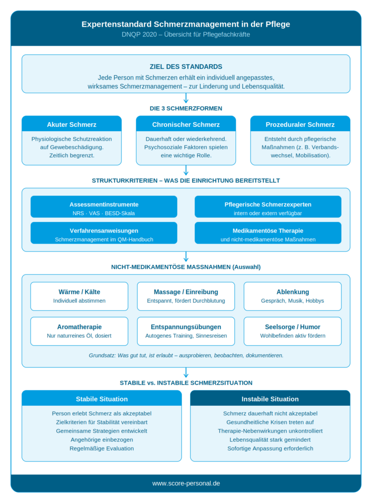 expertenstandard-schmerz-infografik