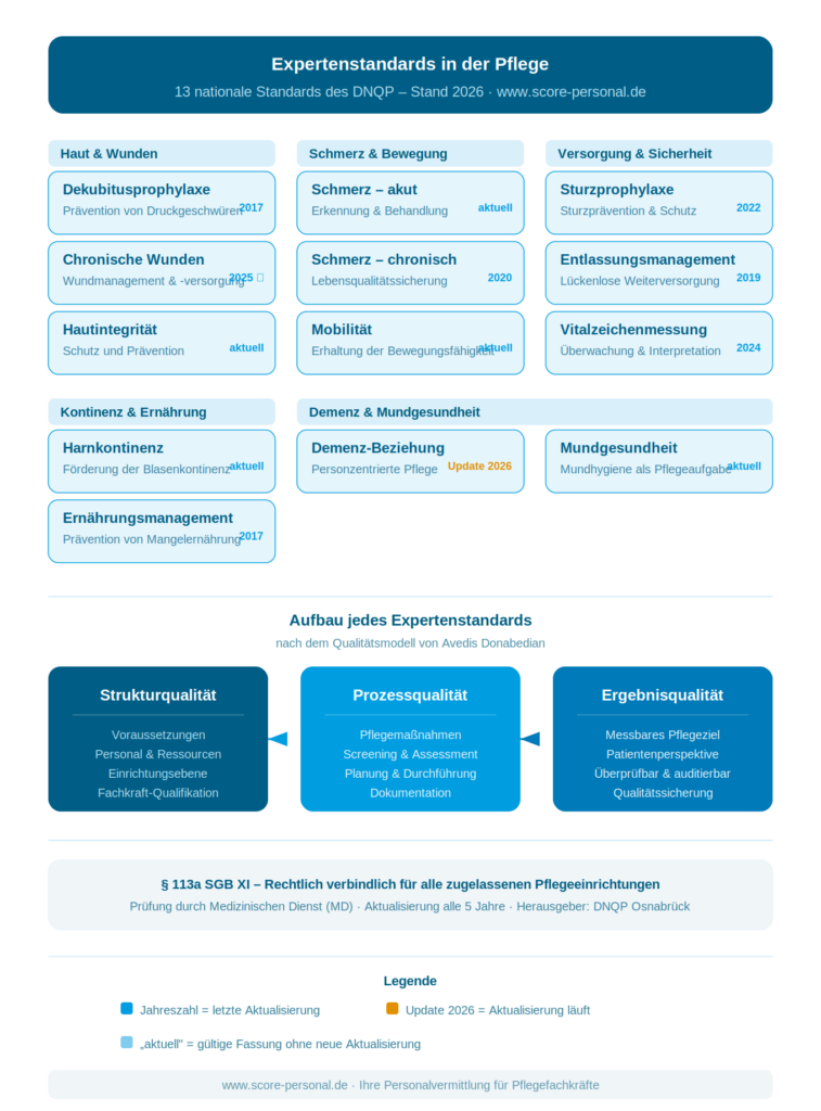 expertenstandards-pflege-infografik